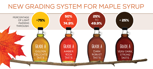 maple_grading_system_625x282