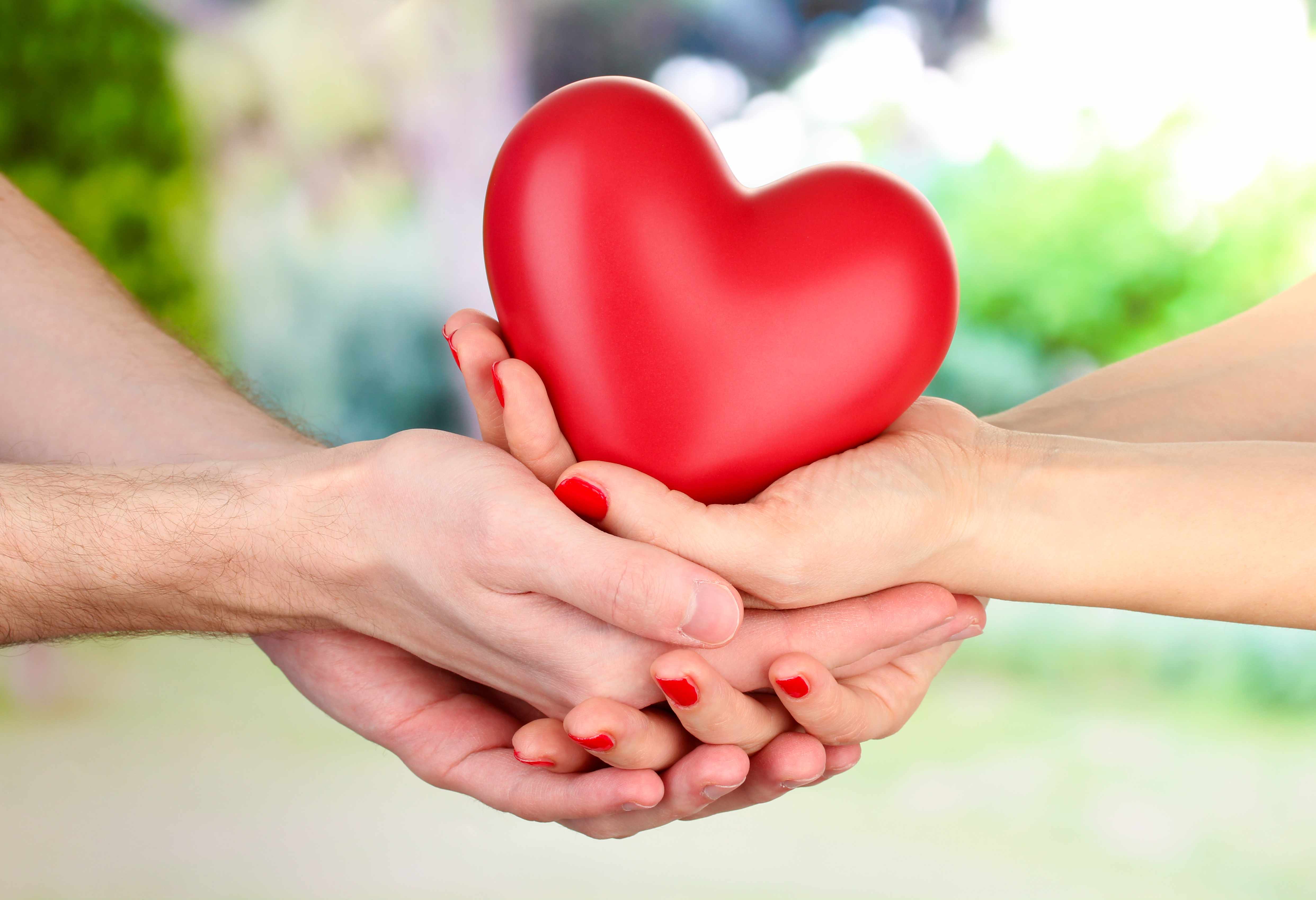 shutterstock_127019477