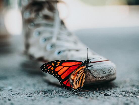 nathan-dumlao-mNLymMqX7iE-unsplash_copy1