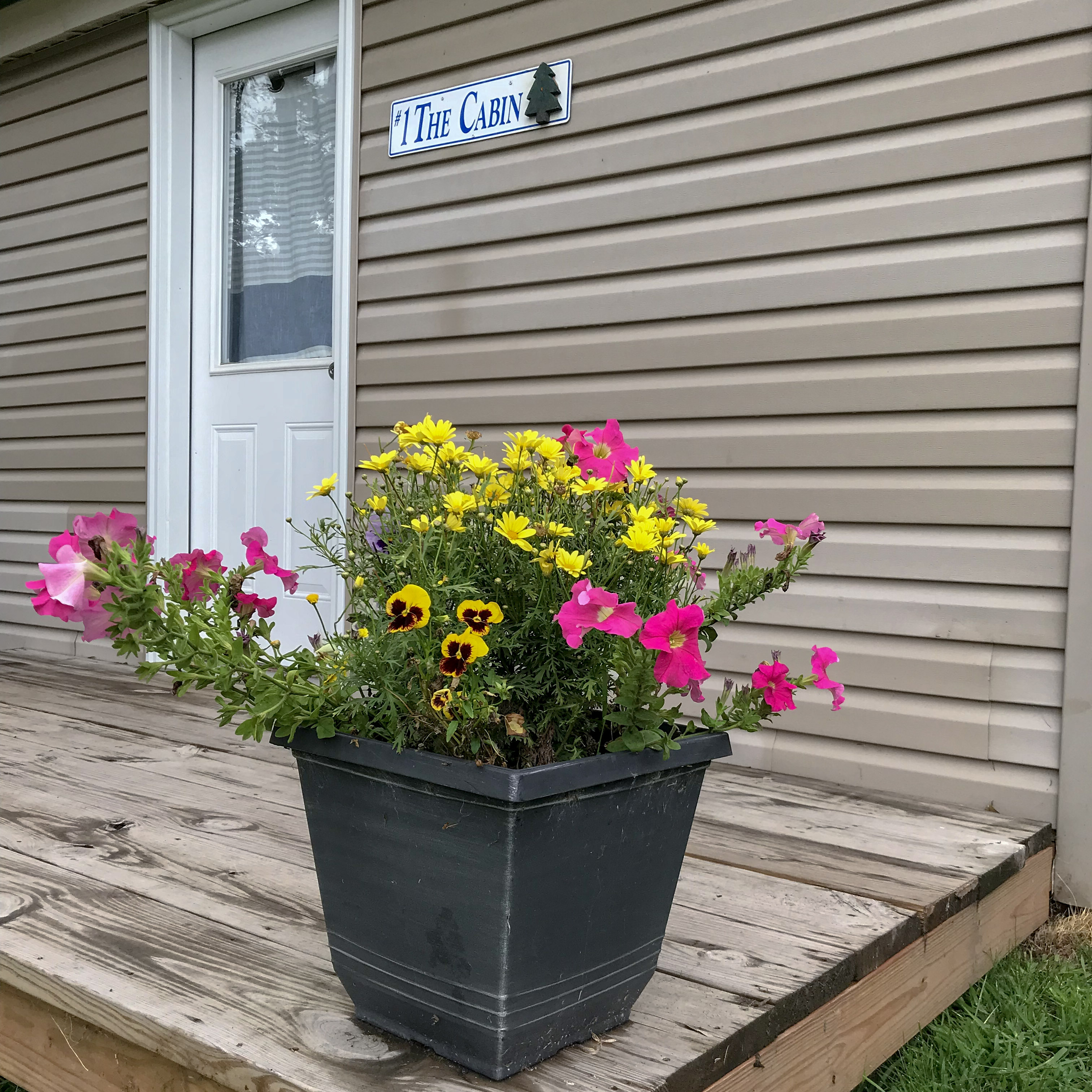 Cabin-1-outdoor