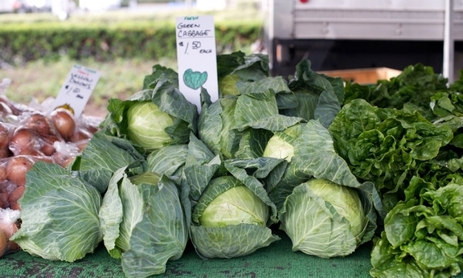 cabbage_farmers_market_1_21