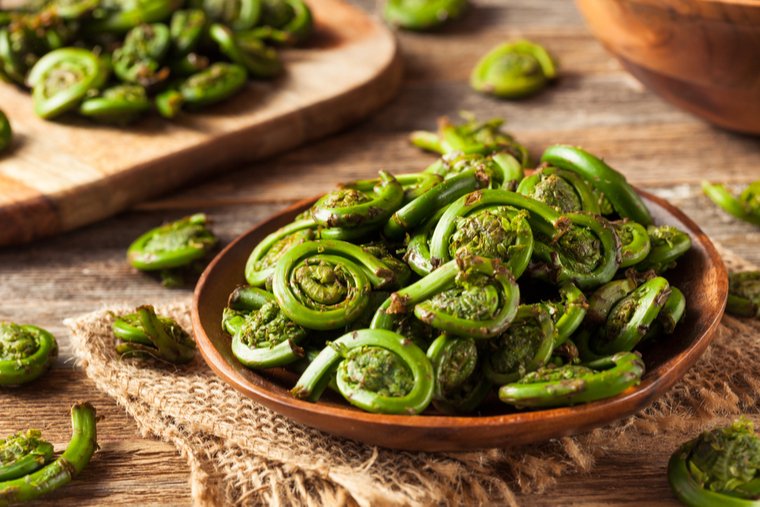 Fiddleheads_copy