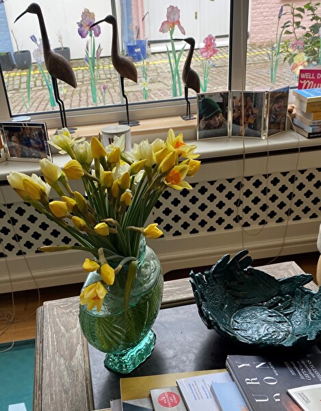 daffs 1_copy1