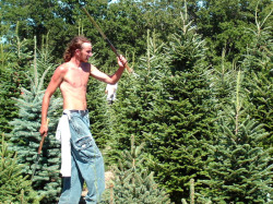 Working at Jan's Christmas Tree Farm