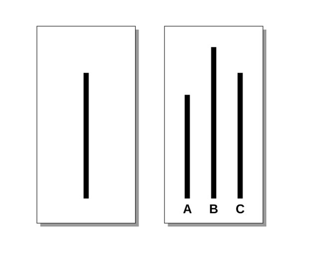 Pictureblocks_copy