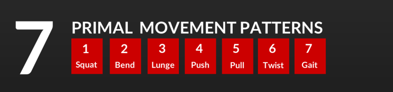 Primal-Movement-Patterns-1268-x-300_gallery