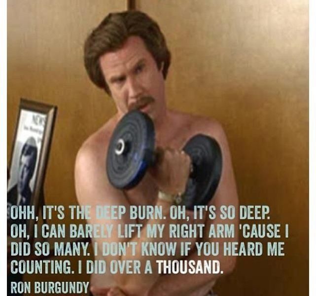 Ron_Burgundy_copy_gallery