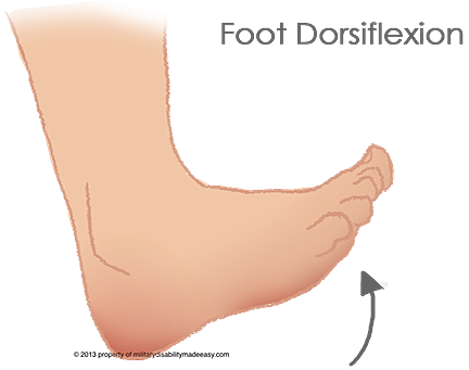 dorsiflexion