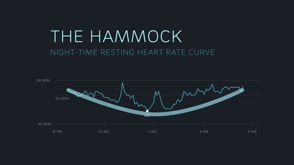 hammock