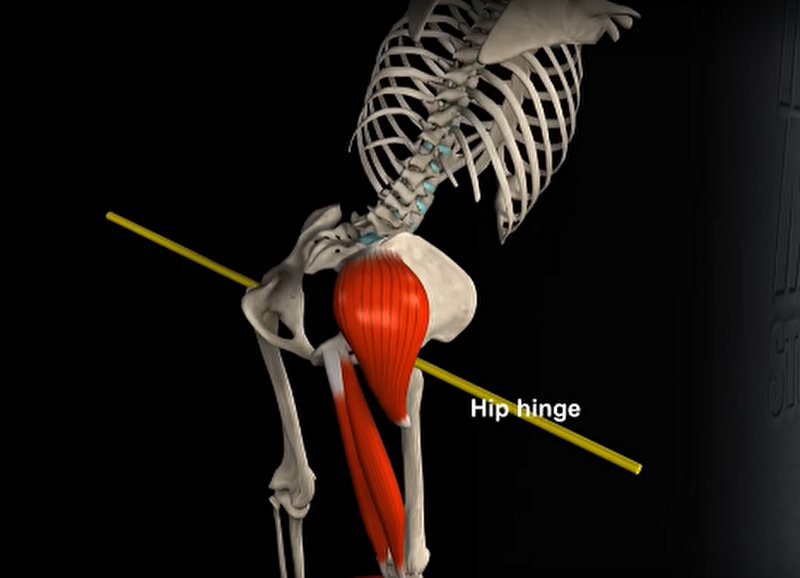 skeleton hip hinge demo