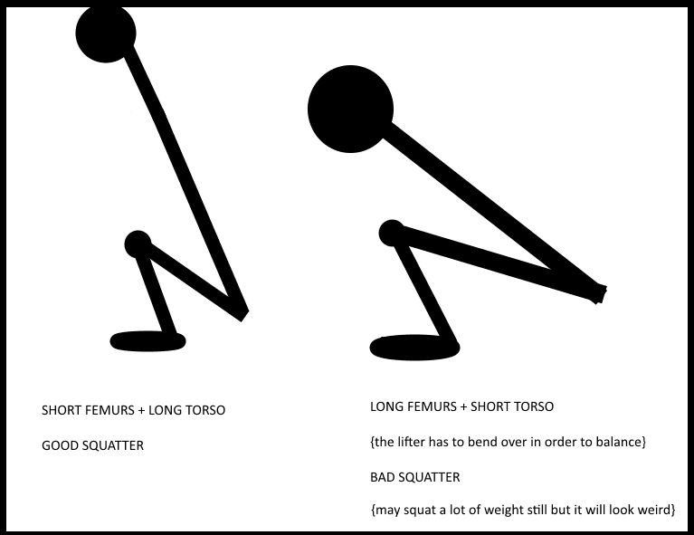 squat_levers_copy