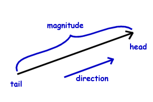vector_basic_copy