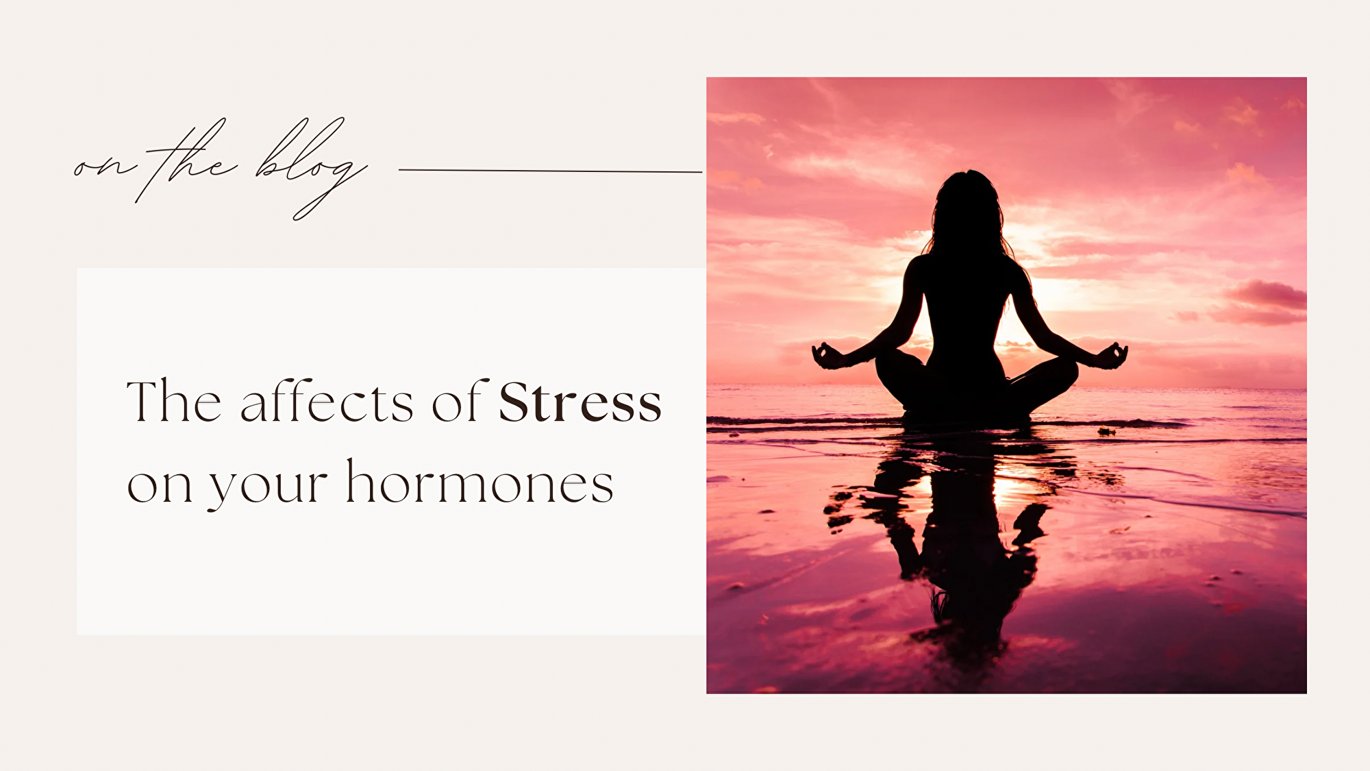 Untitled design_copy