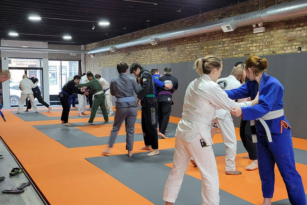Adult Double Five Jiu-Jitsu class