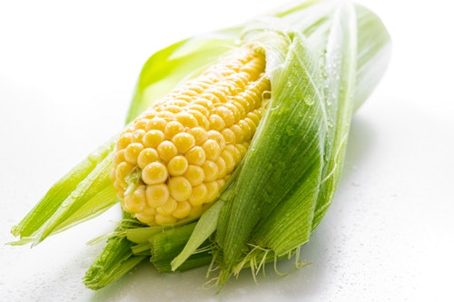 corn on the cob - gluten