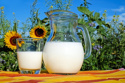 dairy intolerance or food allergy dairy-intolerance-food allergy