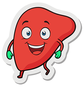 happy liver
