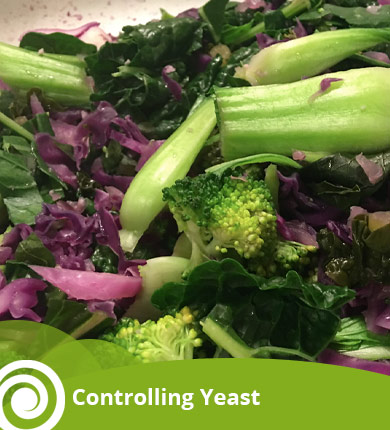 recipes_yeast