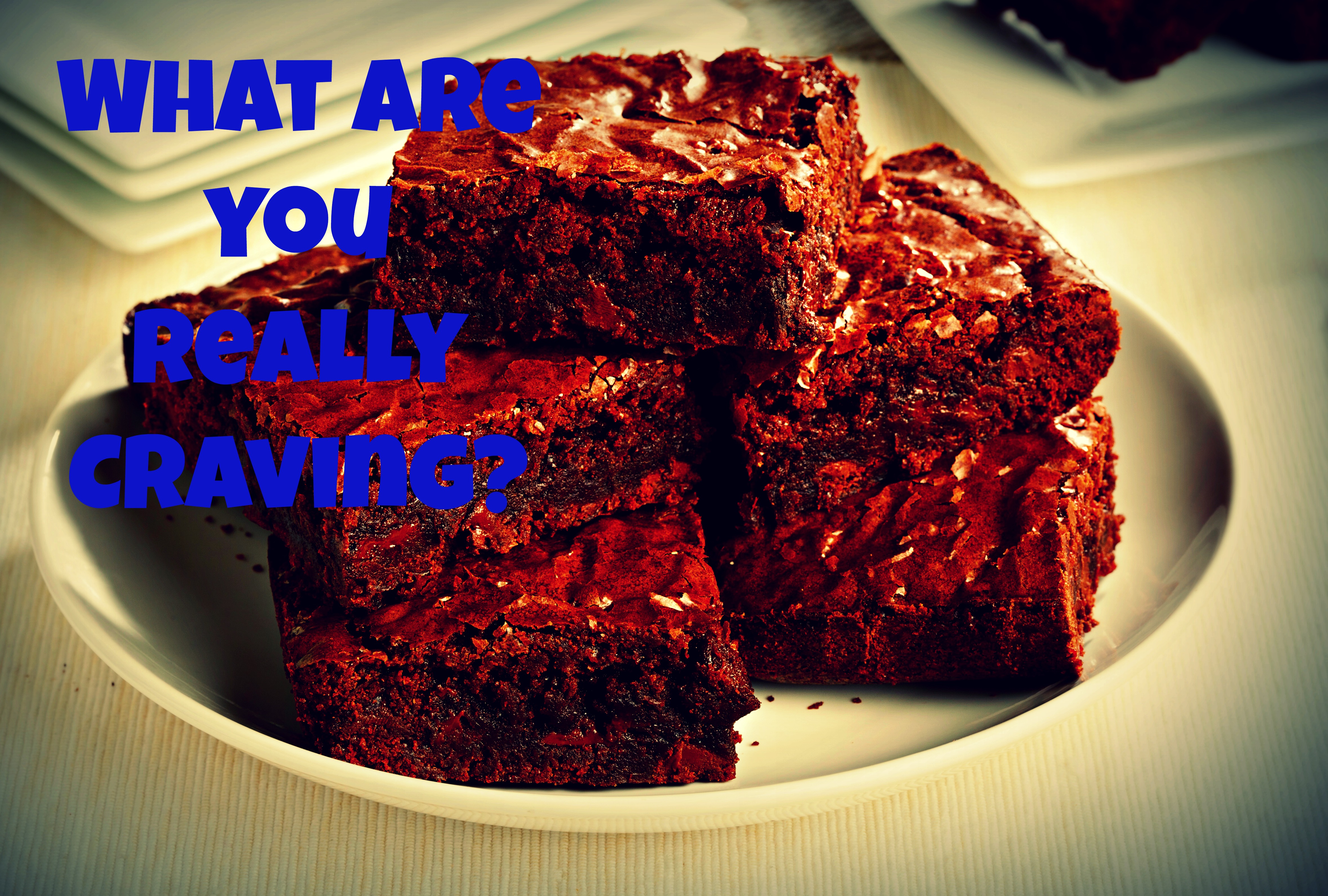 brownie pic