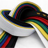 belt-grading