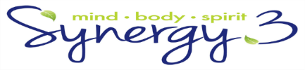 synergy3_webbanner100