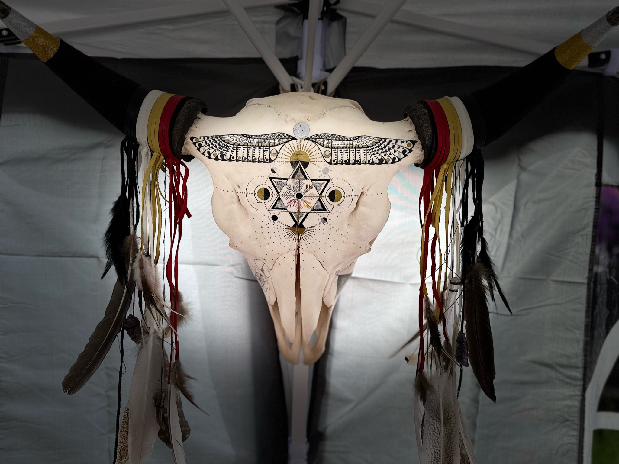 MWW Bison Skull