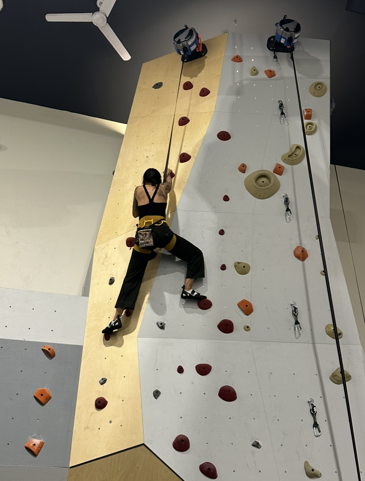 climbwall_copy