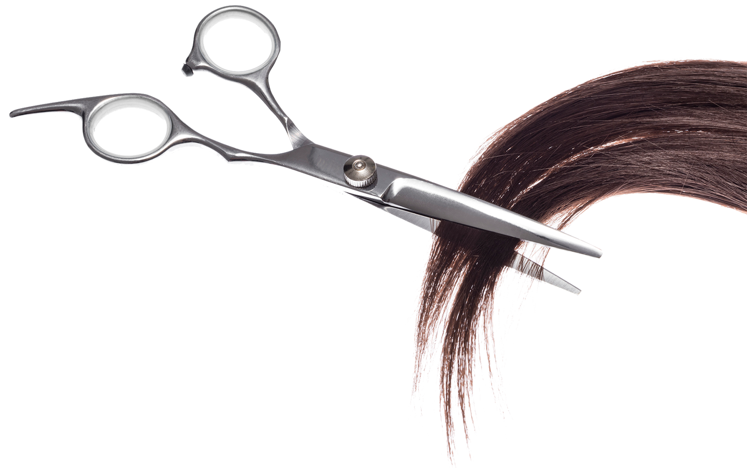Scissors