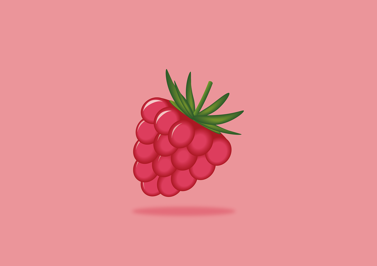 raspberry-6368999_1280