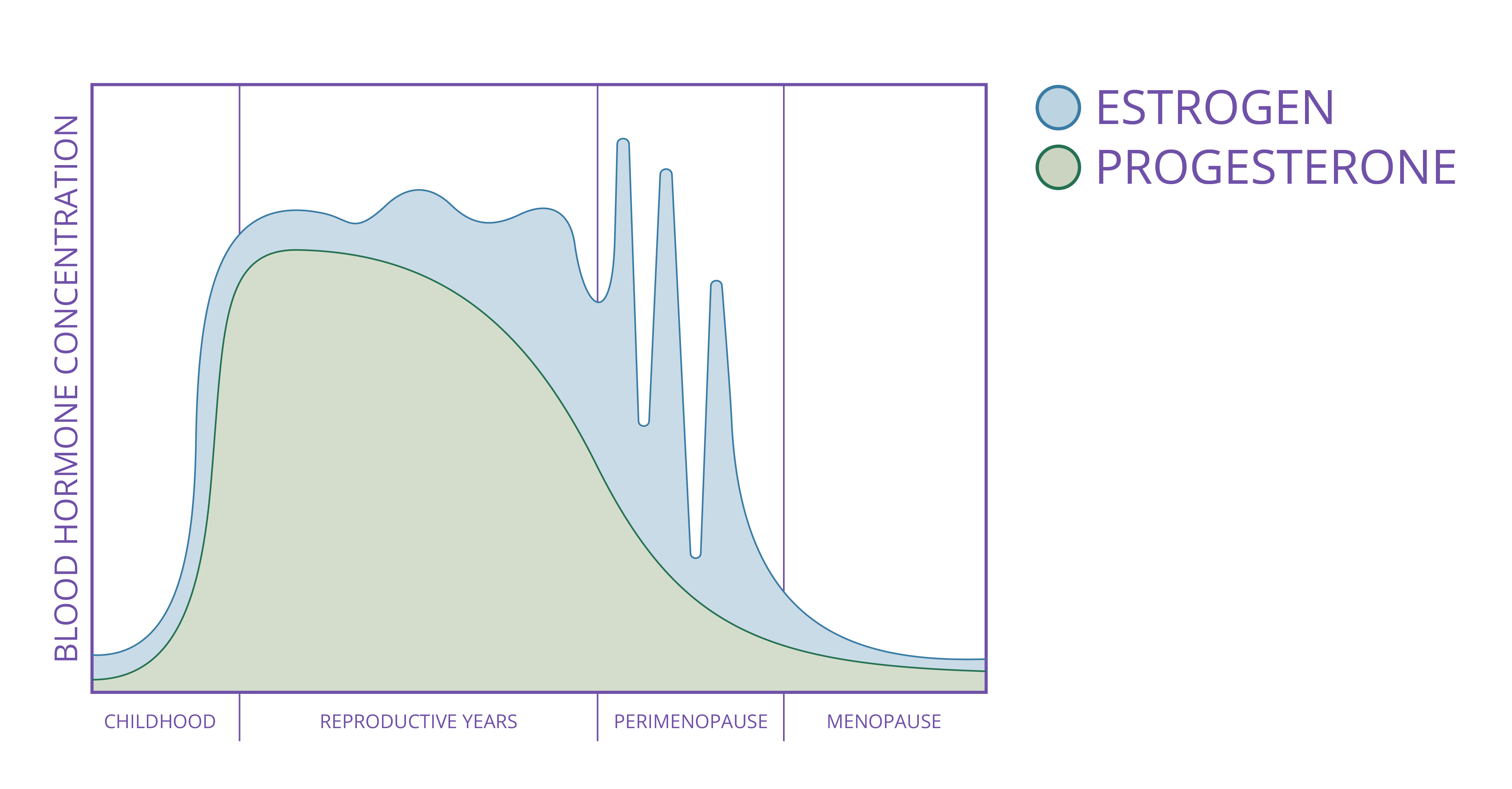 Hormone-Levels-from-Childhood-to-Menopause