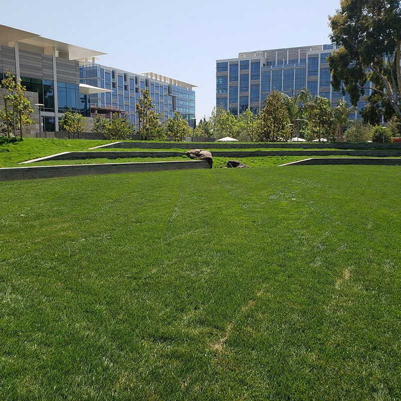 Amphitheater-Seating