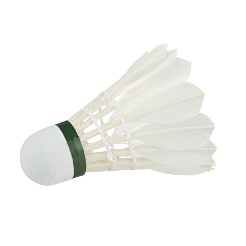 Badminton