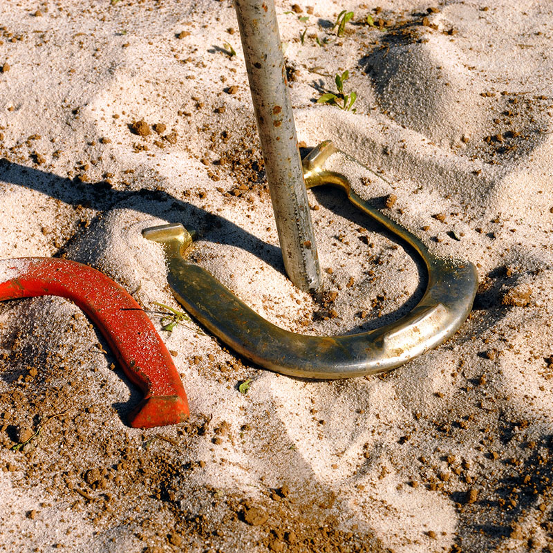 Outdoor Horse Shoes Reservations at The Club