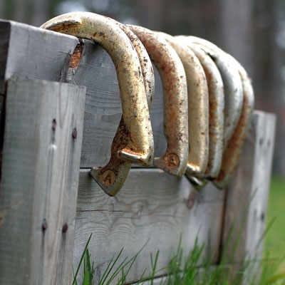 horseshoes-on-rack