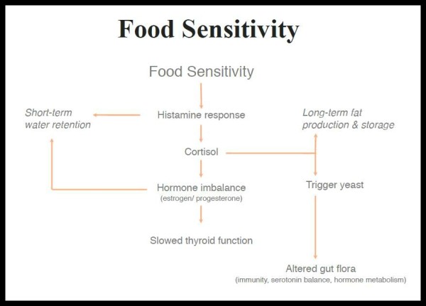 The-Plan-Food-Sensitivity-e1374862023544