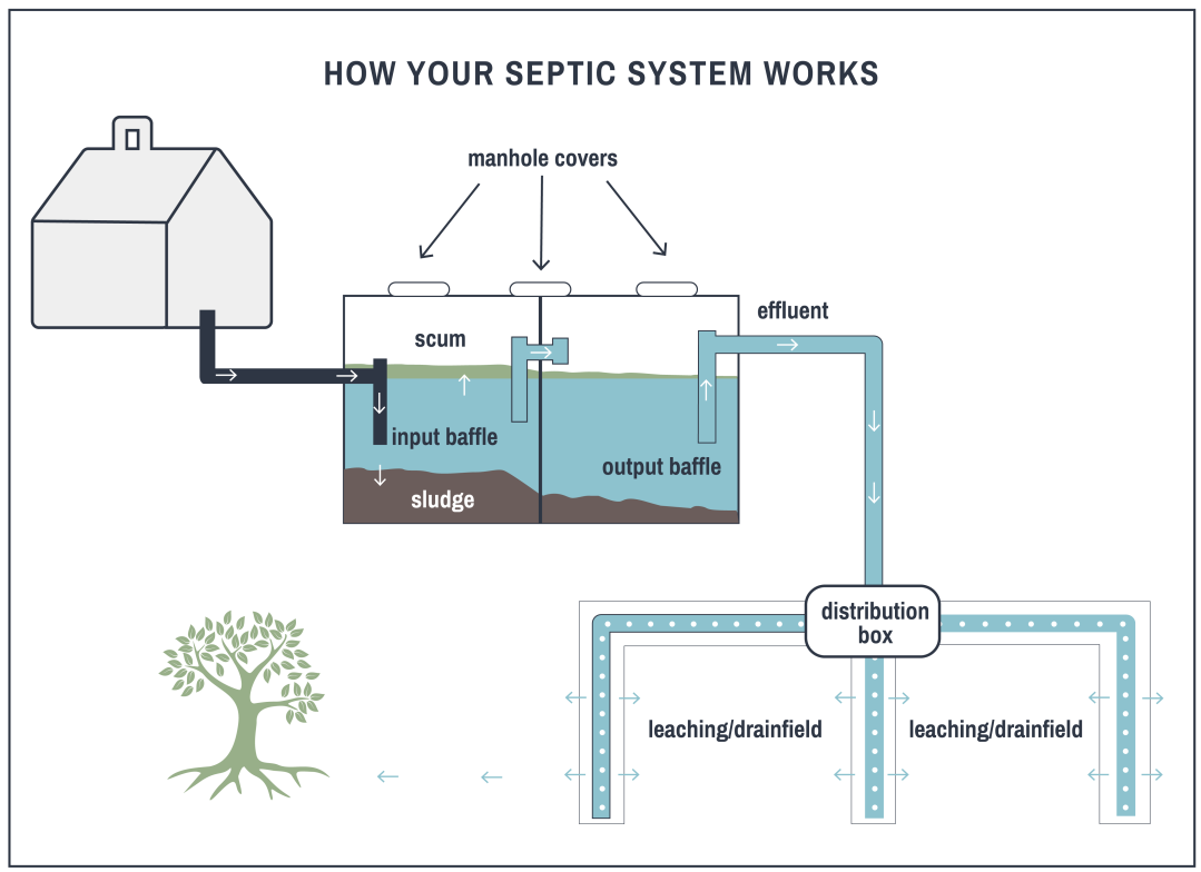 how a septic tank system works