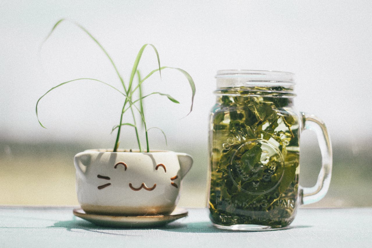 cool green tea