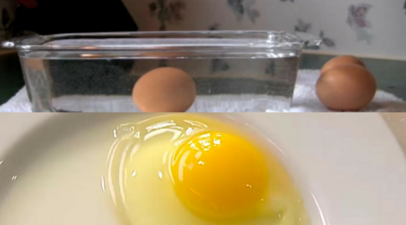 fresh egg