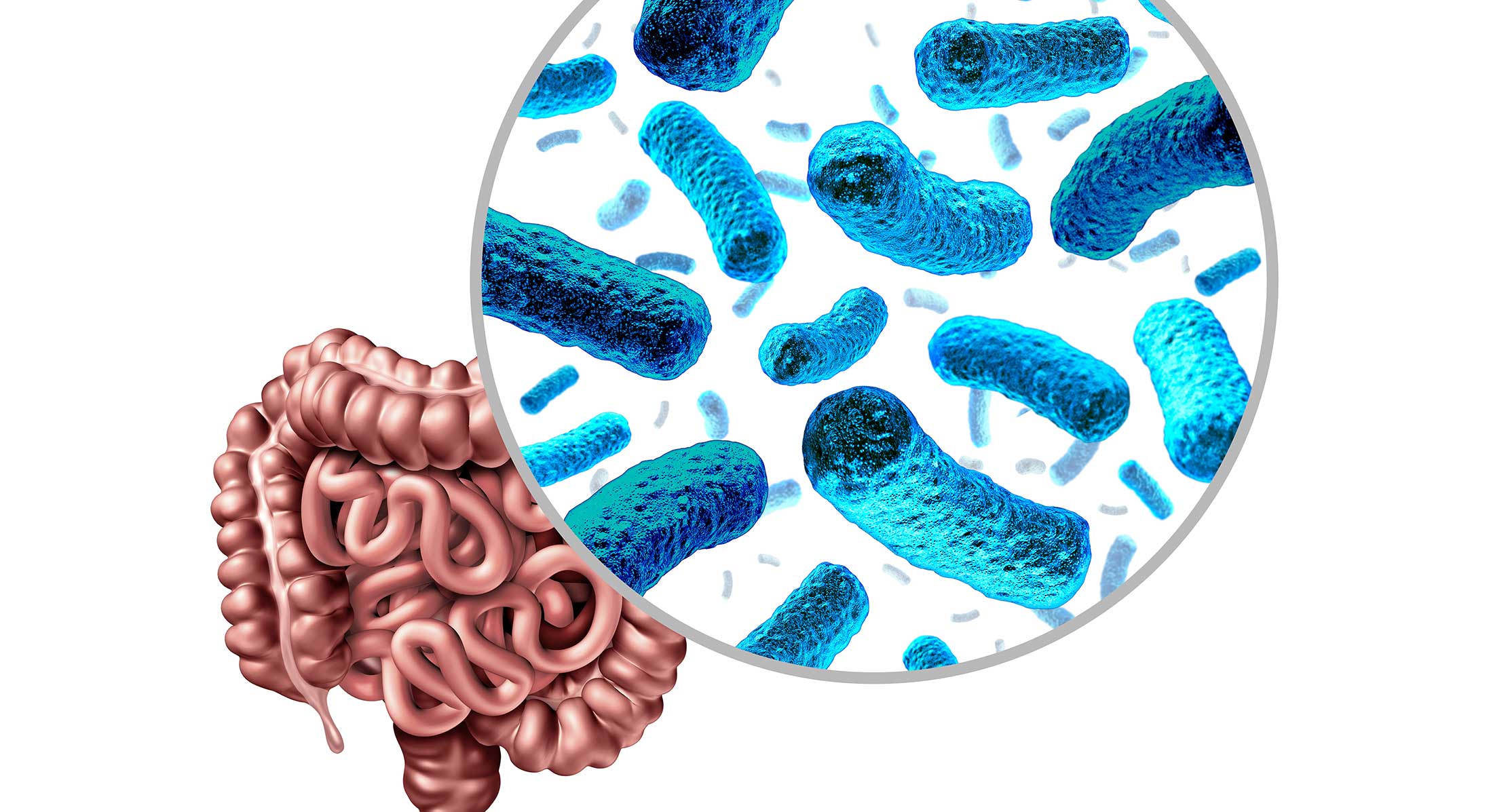 gut microbiota microbes