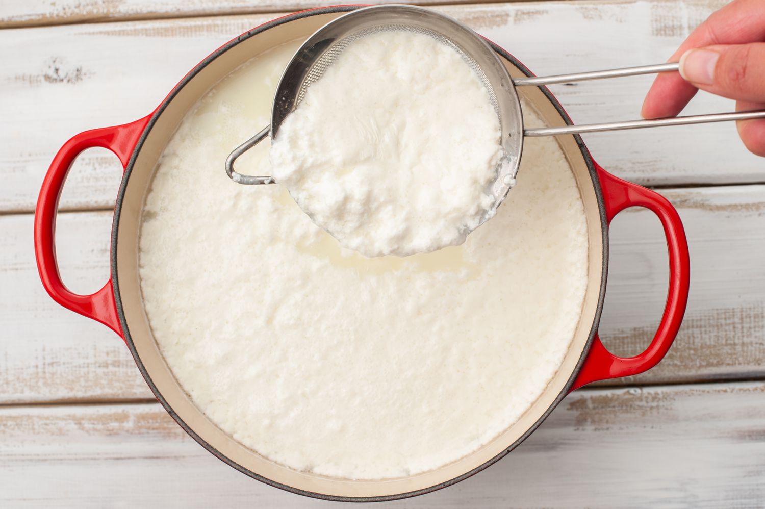 homemade ricotta cheese
