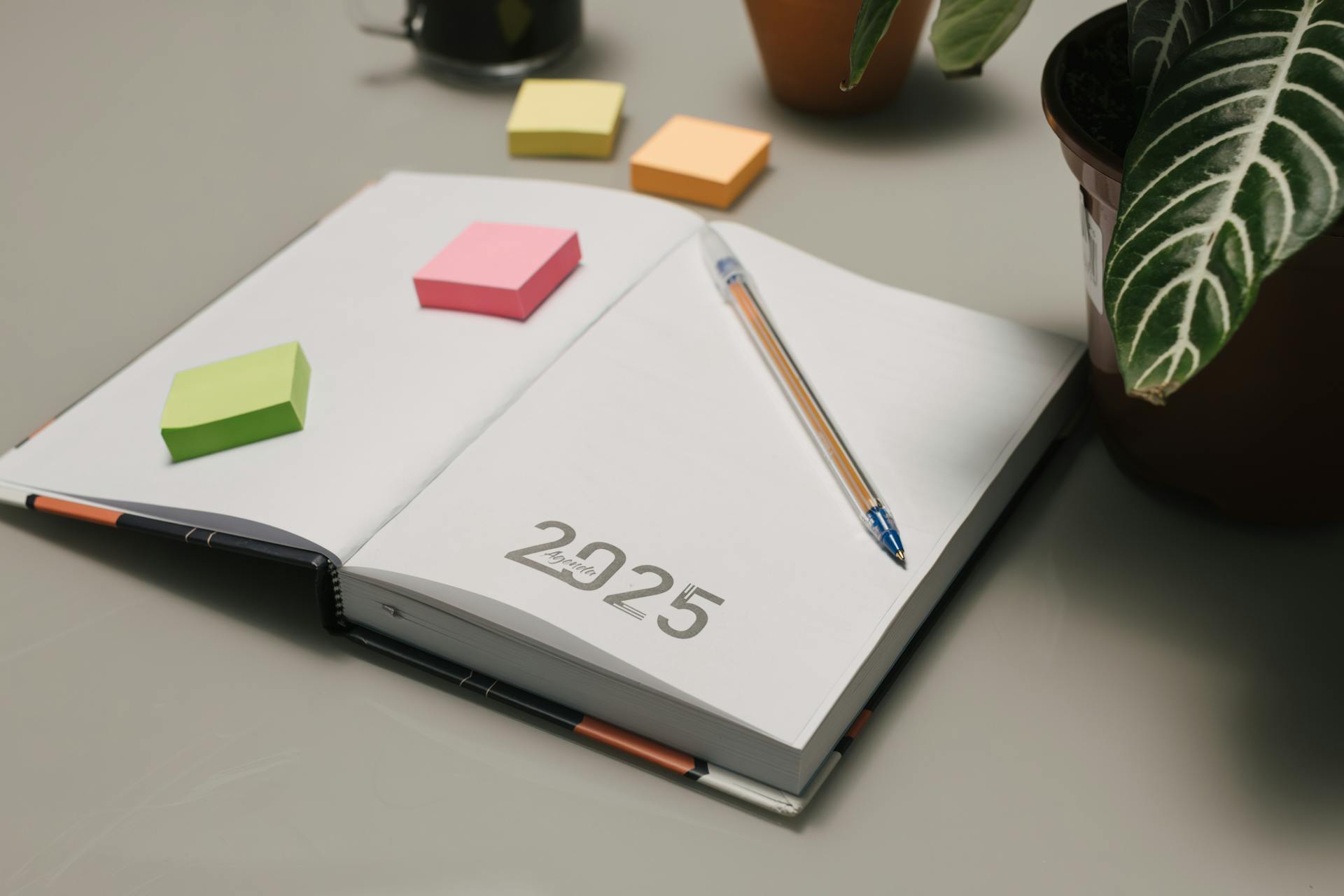 new years resolutions diary