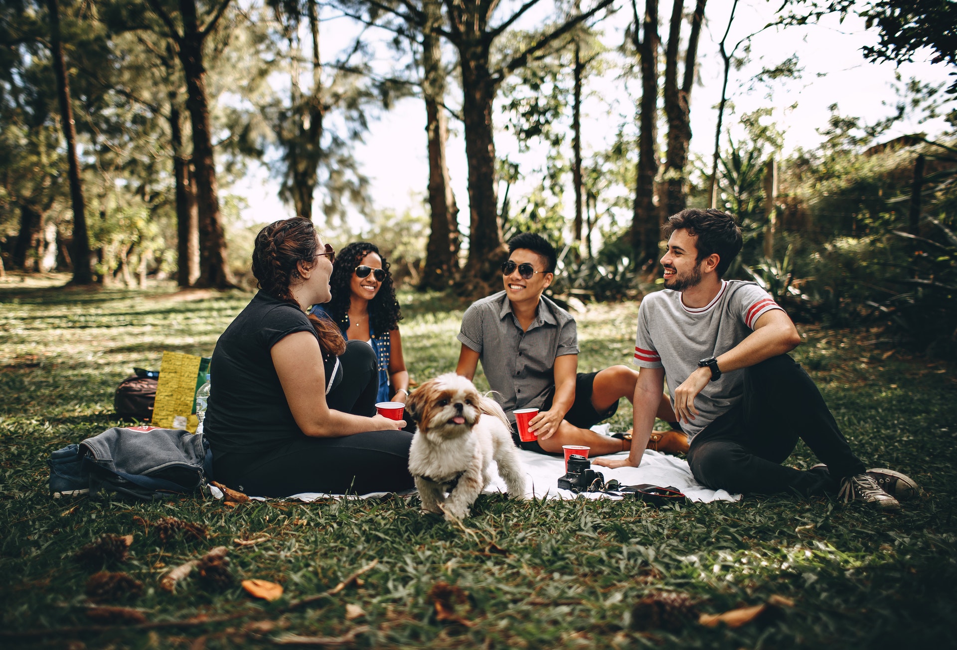 picnic forest people