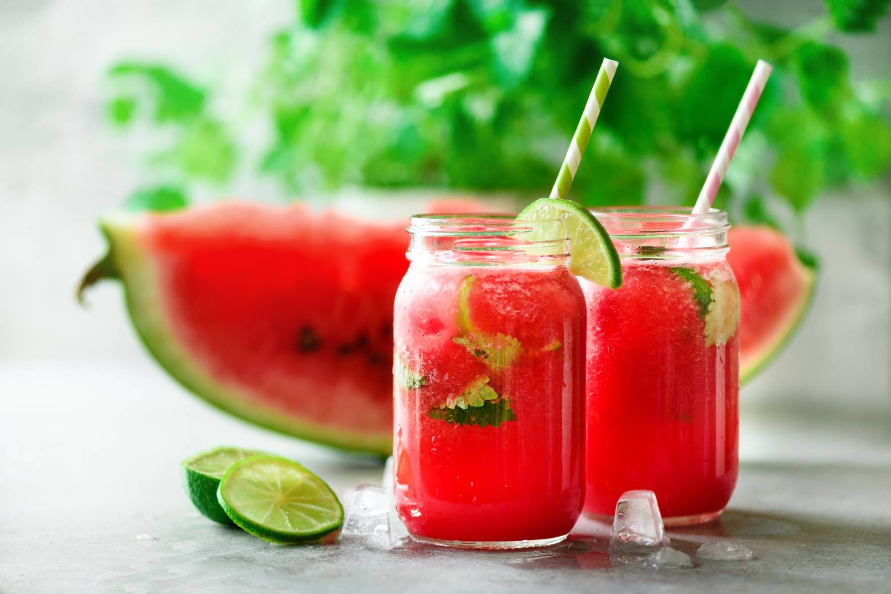 watermelon lemon lime mint