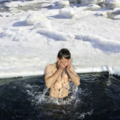 Pulse Magazine - Polar Plunge Pic