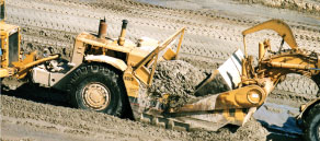 services