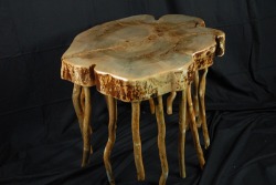 Jellyfish Blog