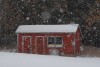 Gramma's Shed