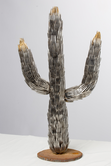 Cactus_001_380x569