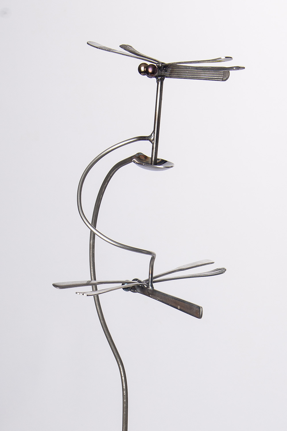 Drunken_Dragonfly_006