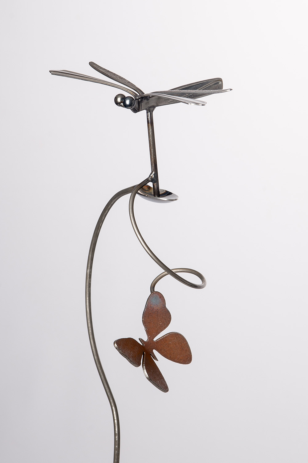 Drunken_Dragonfly_007